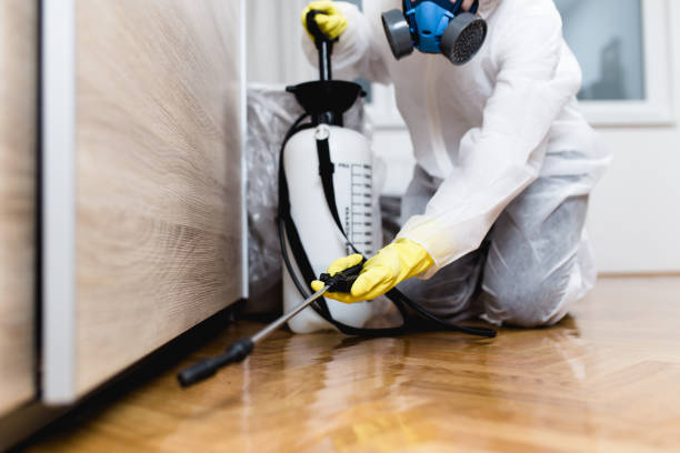 Reliable Valrico, FL Pest Control Solutions