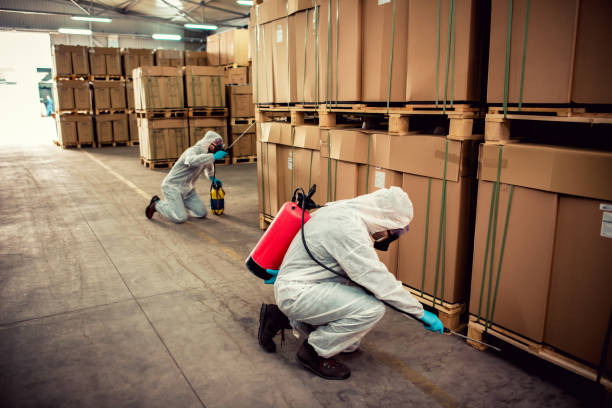 Best Pest Inspection Near Me  in Valrico, FL