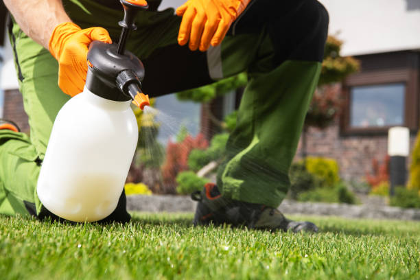 Best Pest Control for Homes  in Valrico, FL