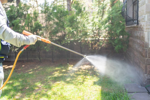 Best Pest Removal Services  in Valrico, FL
