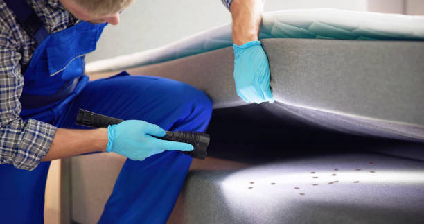 Best Termite Control Services  in Valrico, FL