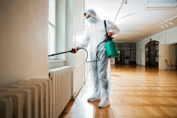 Best Pest Control Near Me  in Valrico, FL