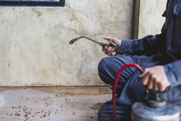 Best Pest Control for Restaurants  in Valrico, FL
